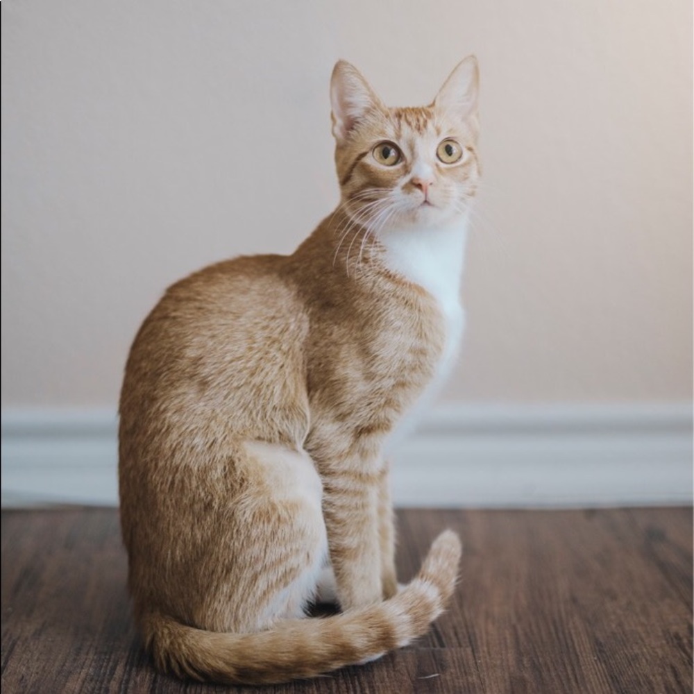 •hello & cheers• - Picture 5 of 8